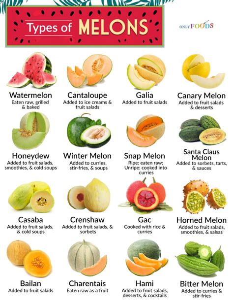 melons tibe|38 Different Types of Melons (Yup, That Many!)